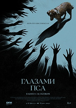 Глазами пса