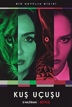 Постер к Полёт птицы