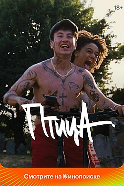 Постер к Птица