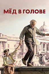Мед в голове